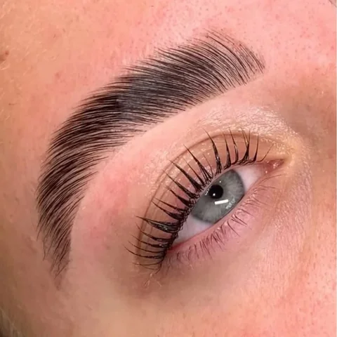 Exemple de browlift avec teinture